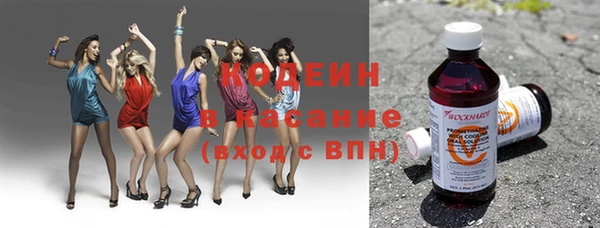 соль ск Бородино