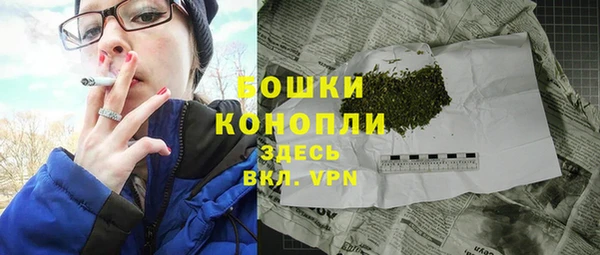 соль ск Бородино