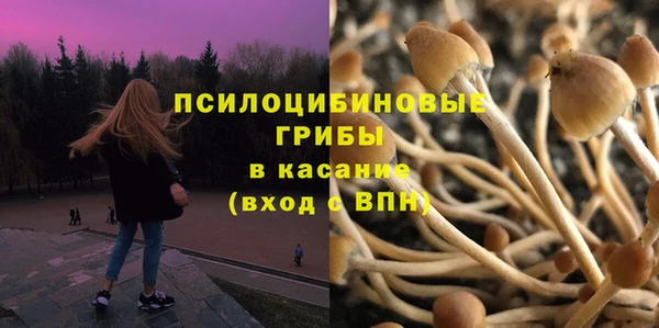соль ск Бородино