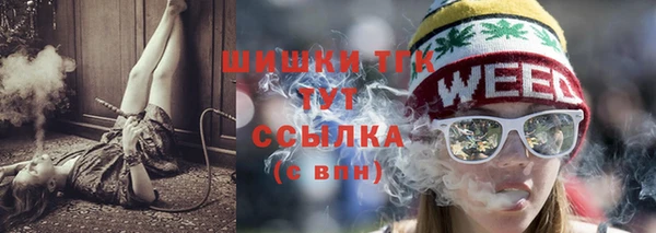 соль ск Бородино